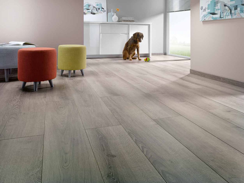 Ламинат Homflor Strong 437 Strong Durban