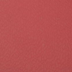 Спортивный линолеум Apoluza GEM 4.5 Красный