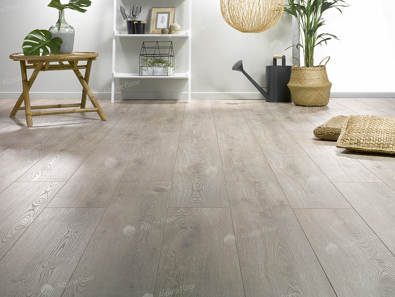 Ламинат Homflor Strong 536 Strong Long Island